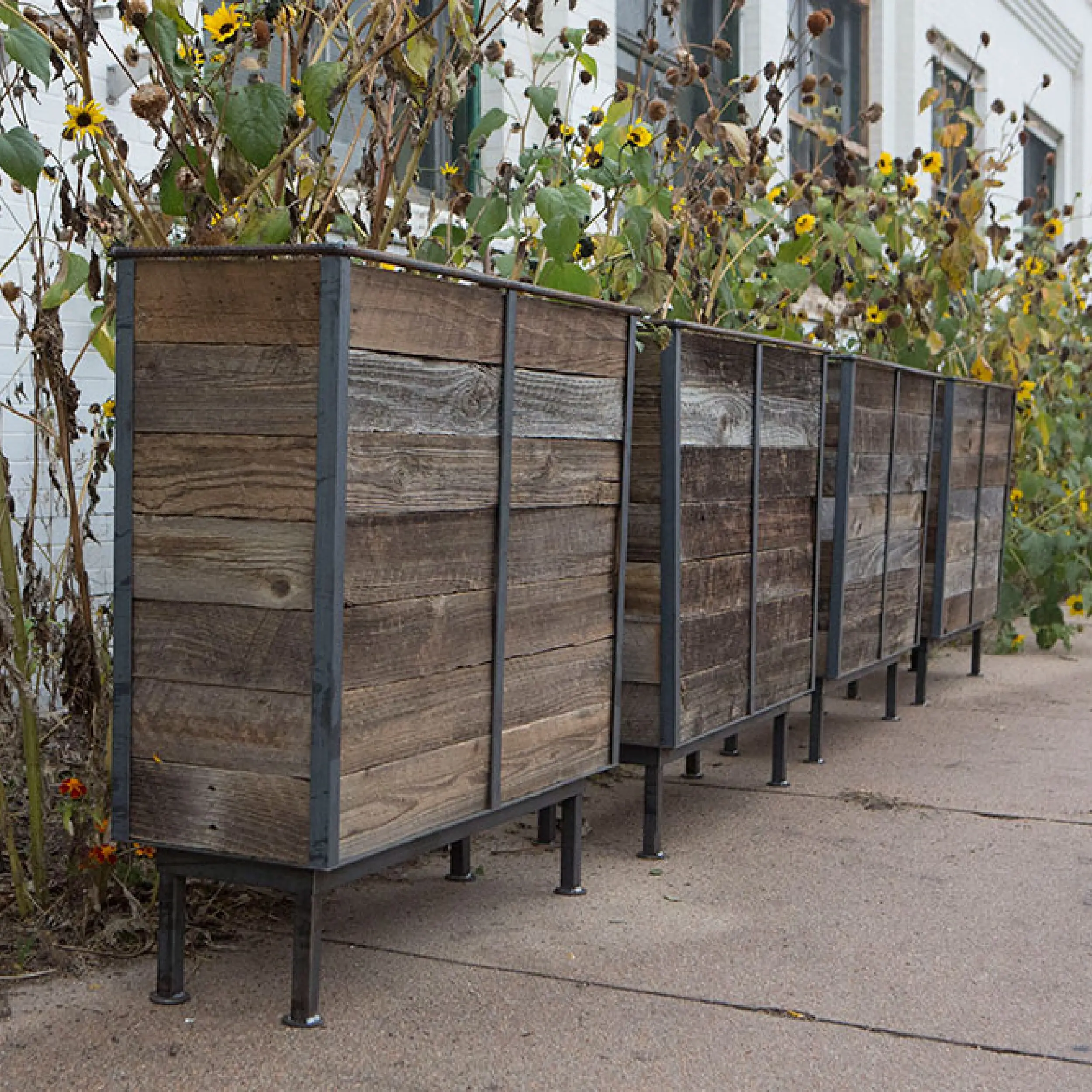 Combination Industrial Cafe Planters in a Row Combination Industrial Cafe Planters Design Options Made From Metal & Wood, Commercial Planters, Commercial Cafe Planter, Handmade Cafe Planter, Wooden Planters, Bespoke Cafe Planters, Custom Made Planters, Wood Planter, Outdoor Planters