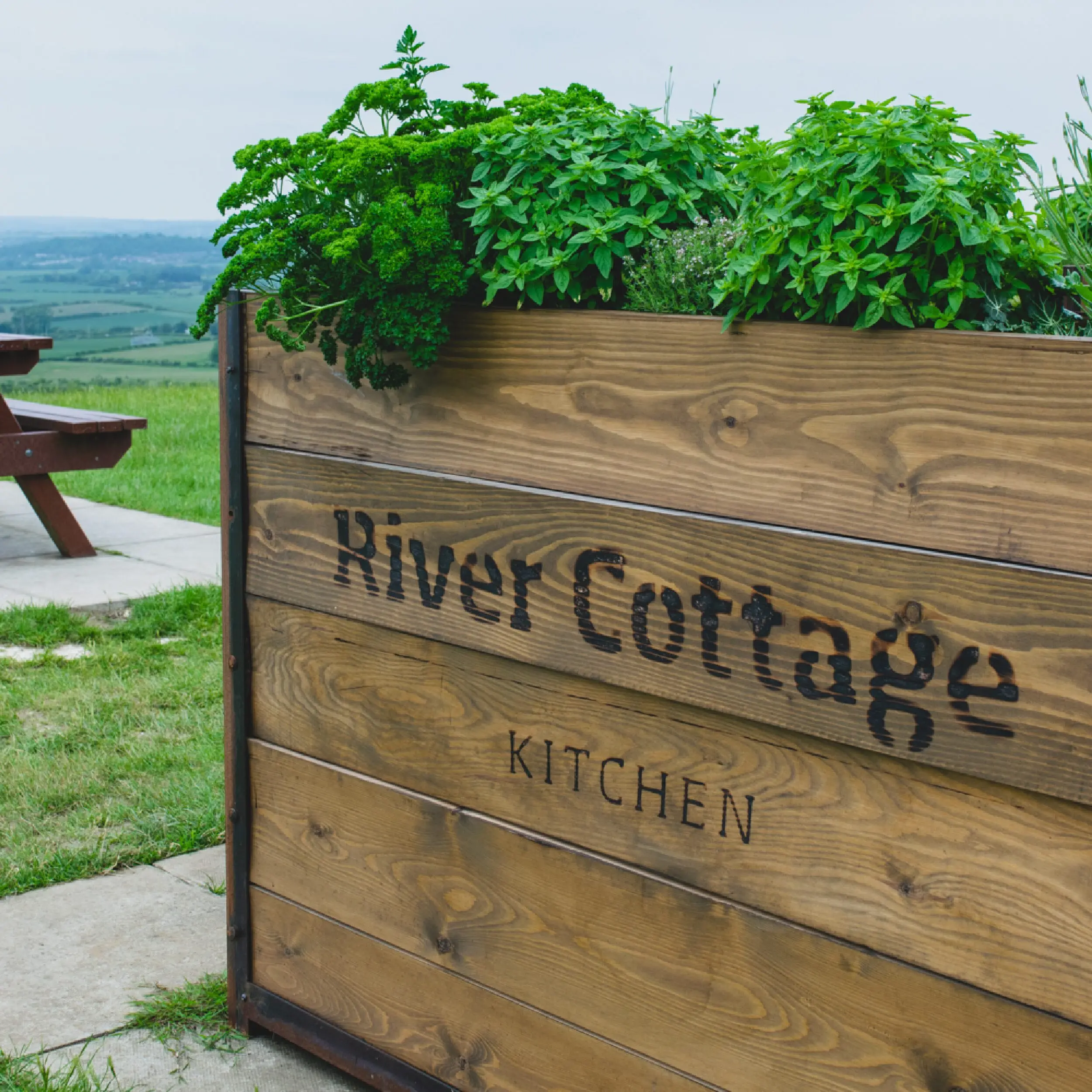 River Cottage - Baylis Industrial Cafe Planter Baylis Industrial Cafe Planters outside River Cottage with Burnt Logo. Commercial Planters for use Outdoors & made to order.