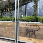 Zincato Cafe Planter with Mowgli Logo Stencil