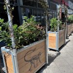 Zincato Cafe Planter at Mowgli in Cheltenham. Mowgli Logo stencilled onto the wood. With a metal scaffold frame