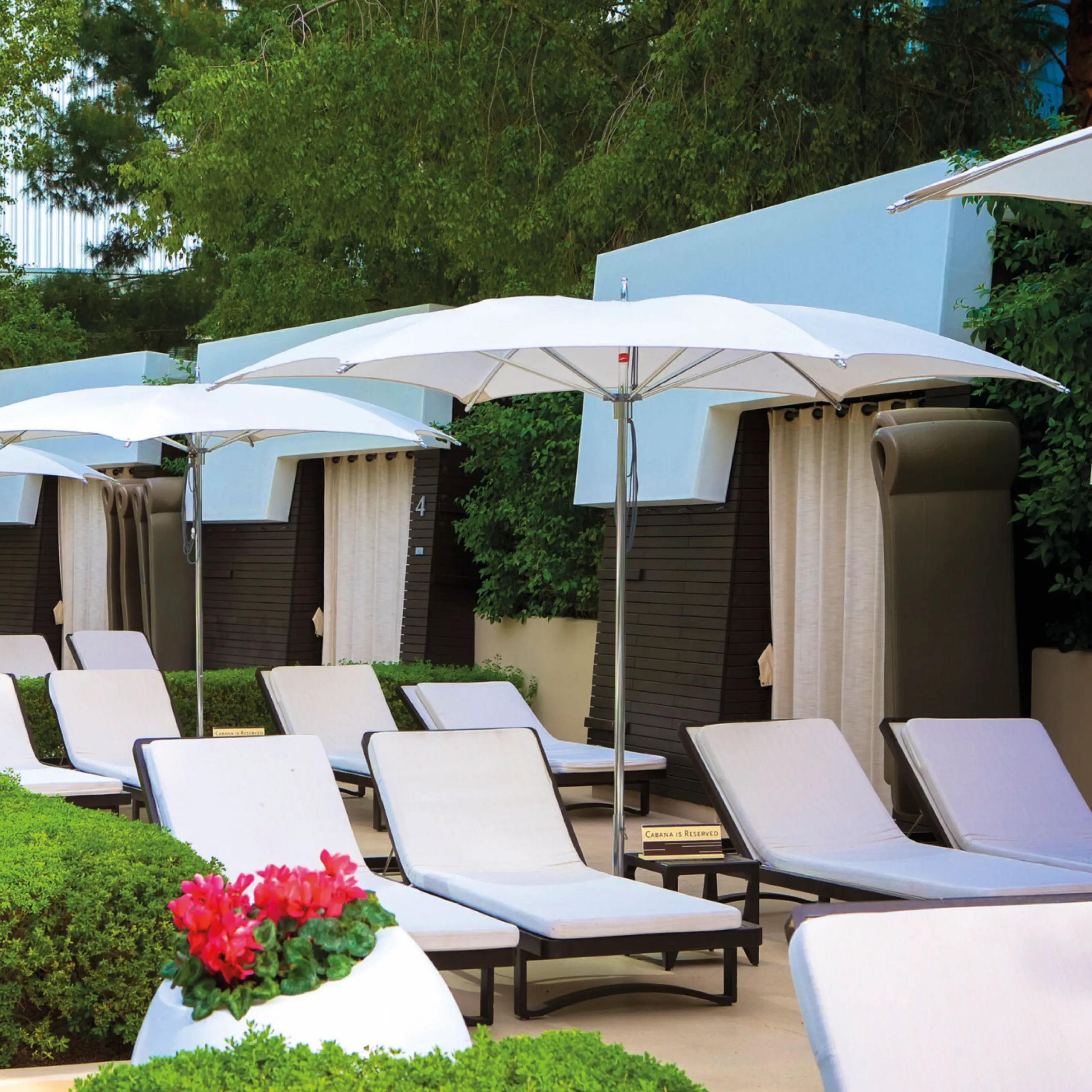 Tuuci OceanMaster M1 Crescent Giant Umbrella Tuuci OceanMaster M1 Crescent Giant Umbrella in White by some Sun Loungers, Giant Umbrellas, Commercial Giant Umbrellas, Hospitality Giant Umbrellas, Parasols, Restaurant Umbrellas, Outdoor Umbrellas, Fabric Umbrellas, Giant Umbrellas with Logos, Tuuci Umbrellas, Tuuci Giant Umbrellas