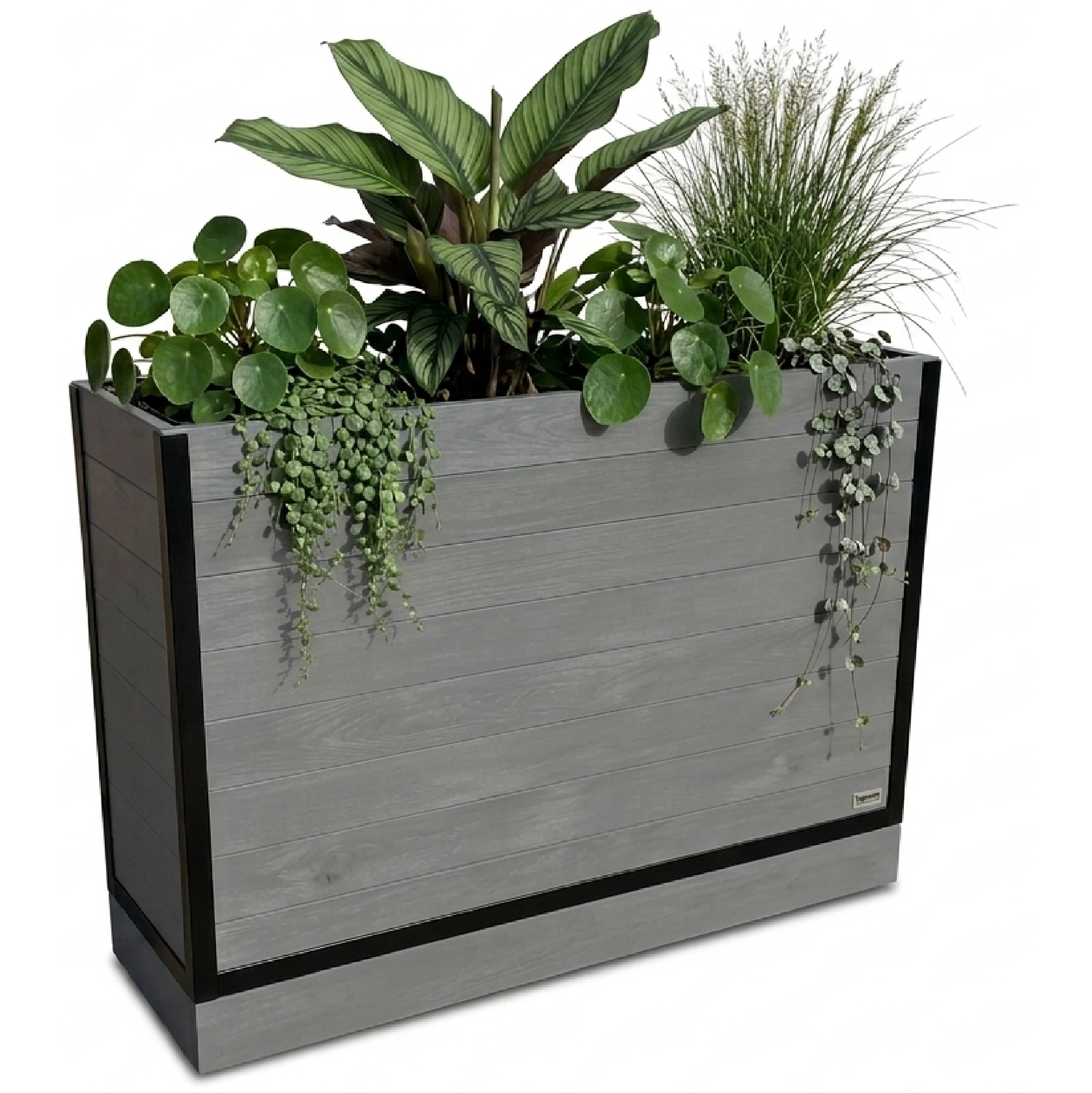 Baylis Forigo Industrial Cafe Planter Baylis Forigo Industrial Cafe Planter for Commercial Use. Bespoke sizes and finishes are available.