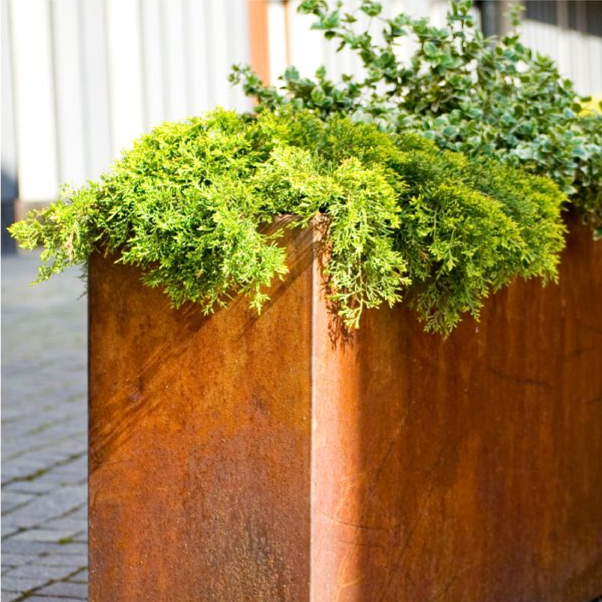 Corten Steel Cafe Planter - with Plants Corten Steel Metal Planter Trough without Castors for Commercial Use, Corten Steel Industrial Cafe Planter Trough with Plants, Restaurant Planters, Metal Cafe Planters, Commercial Planters, Bespoke Cafe Planters, Custom-Made Cafe Planters, planters for cafes, outdoor planters, alfresco planters